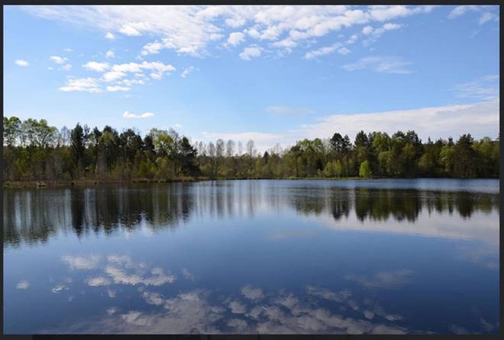 Haus Am See Illmensee Eksteriør bilde