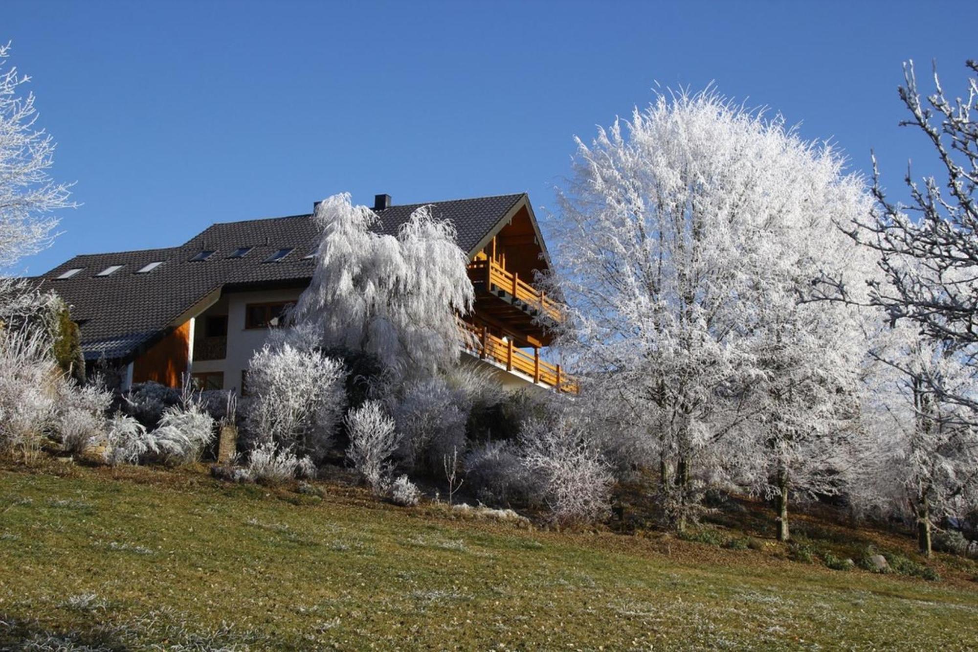 Haus Am See Illmensee Eksteriør bilde